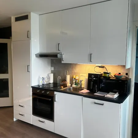 Naskolini Top Premium Apartments * Oslo